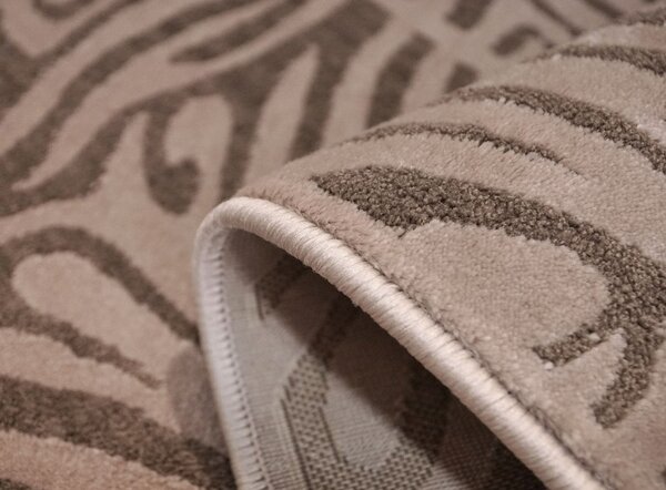 Covor Sufragerie, Model Sofia Zebra 41006 1103, Covor Dreptnghiular, Maro Maro, Dreptunghi, 200 x 270