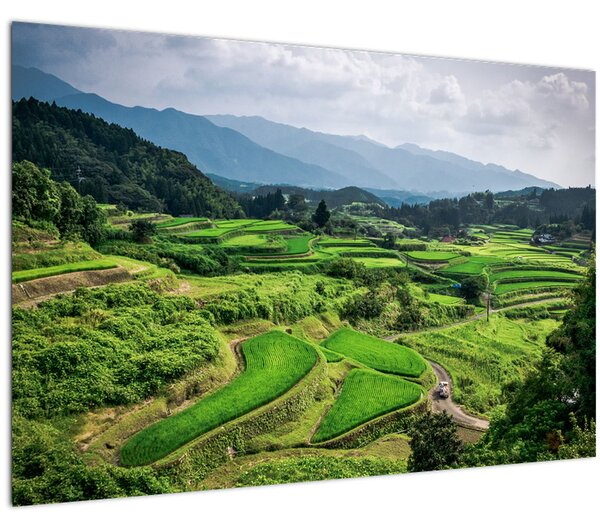 Tablou cu câmp de orez (90x60 cm)