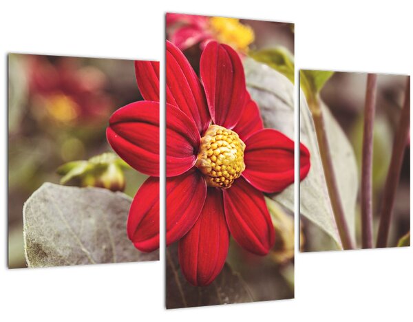 Tablou cu floare (90x60 cm)