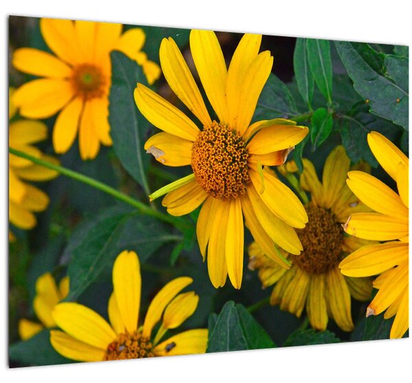 Tablou cu flori galbene (70x50 cm)
