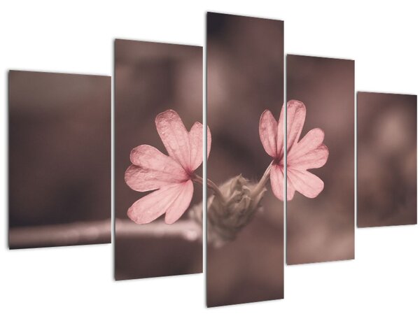 Tablou cu floare roz (150x105 cm)