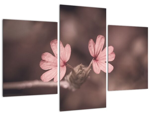 Tablou cu floare roz (90x60 cm)