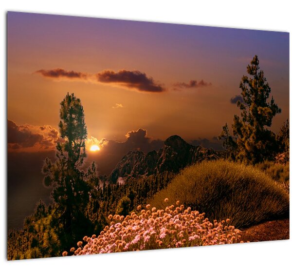 Tablou naturii cu apus de soare (70x50 cm)