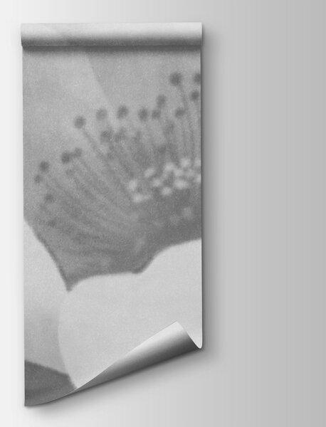 Fototapet Petale delicate într-o ceață ușoară, Fototapet flori, Fototapet populare, t01008v3 - Tapeko.ro