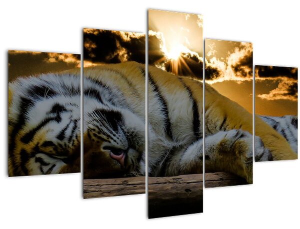 Tablou tigrul dormind (150x105 cm)