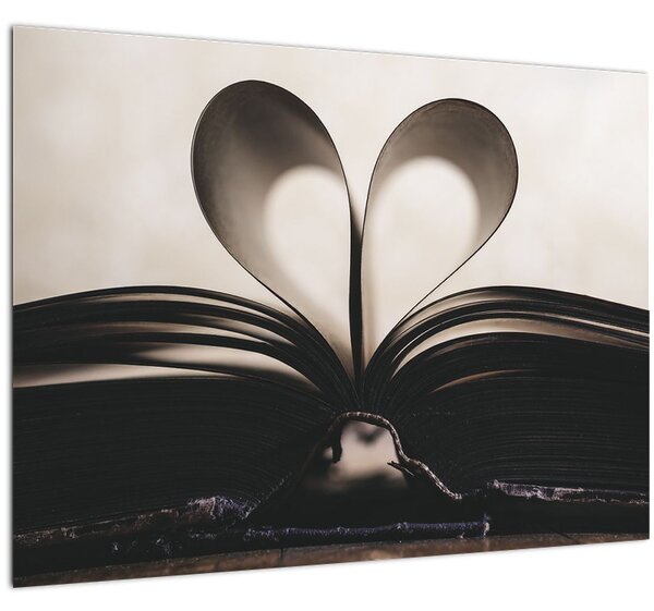 Tablou cu carte (70x50 cm)