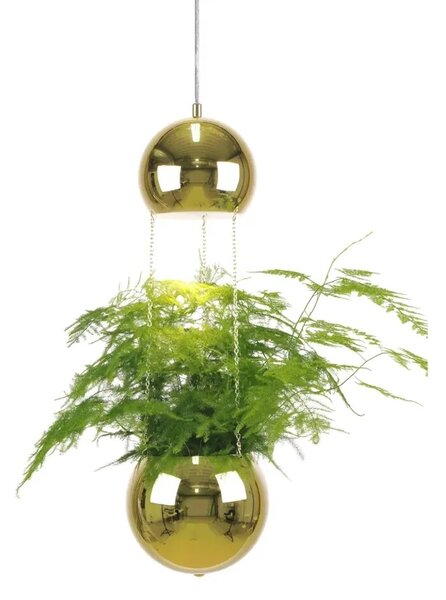 Globen Lighting - Mini Planter Lustră Pendul Brass Globen Lighting