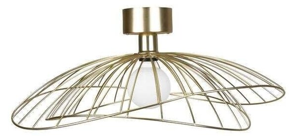 Globen Lighting - Ray Plafonieră/Aplică de Perete Brass Globen Lighting