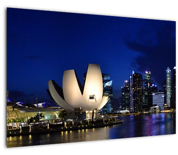 Tablou Singapore nocturn (90x60 cm)