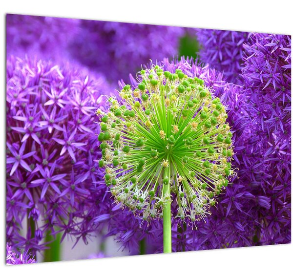 Tablou cu floare (70x50 cm)