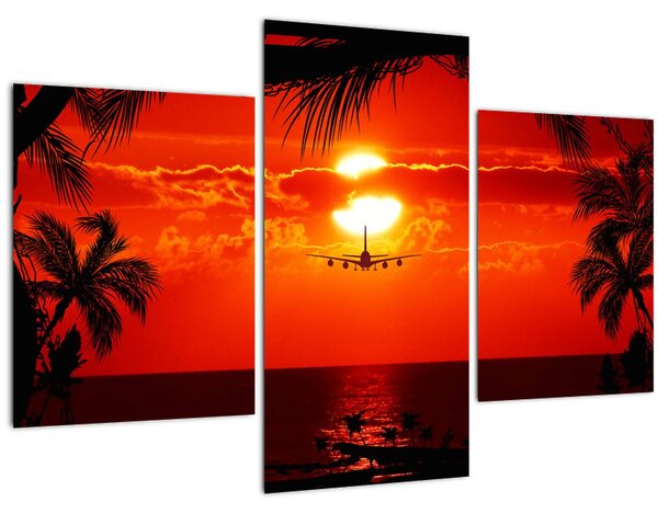 Tablou - apus de soare cu avion (90x60 cm)