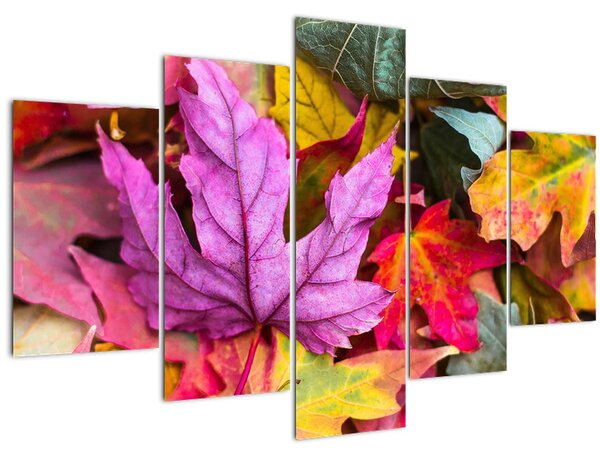 Tablou - frunze de toamnă (150x105 cm)