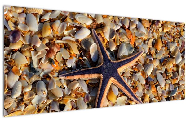 Tablou cu stea de mare (120x50 cm)