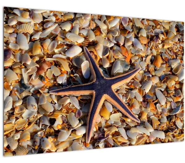 Tablou cu stea de mare (90x60 cm)
