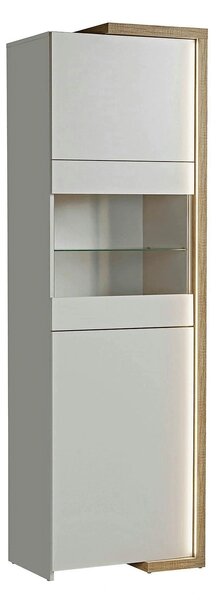 Vitrina DASAR, grej/stejar, PAL laminat/sticla, 64x40x203 cm