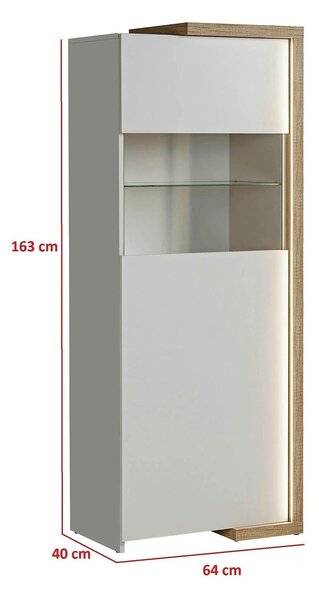 Vitrina DASAR, grej/stejar, PAL laminat/sticla, 64x40x163 cm