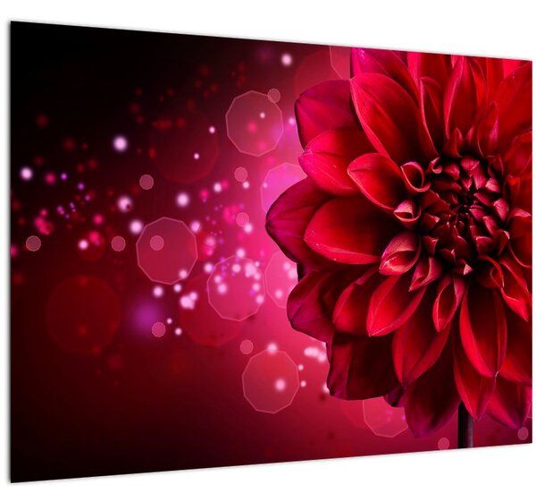 Tablou cu floare roșie (70x50 cm)