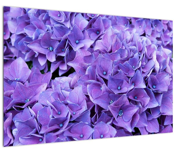 Tablou cu flori violete (90x60 cm)