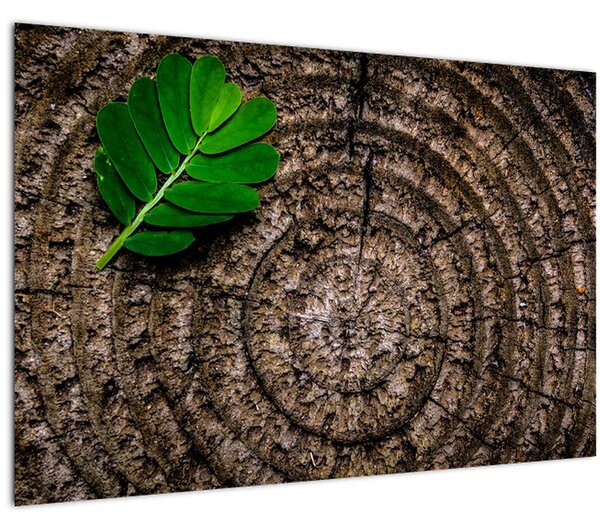 Tablou cu frunză pe trunchi de copac (90x60 cm)