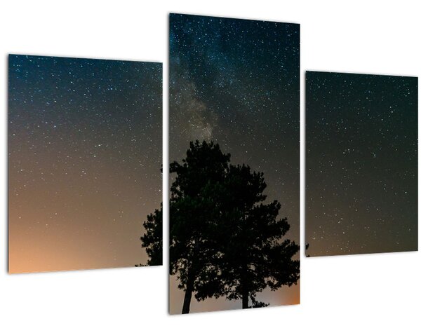 Tablou cu cerul nocturn și copaci (90x60 cm)