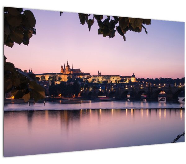Tablou cu palatul din Praga și Vltava (90x60 cm)