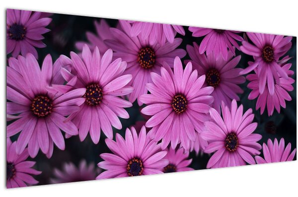 Tablou cu florile roz (120x50 cm)
