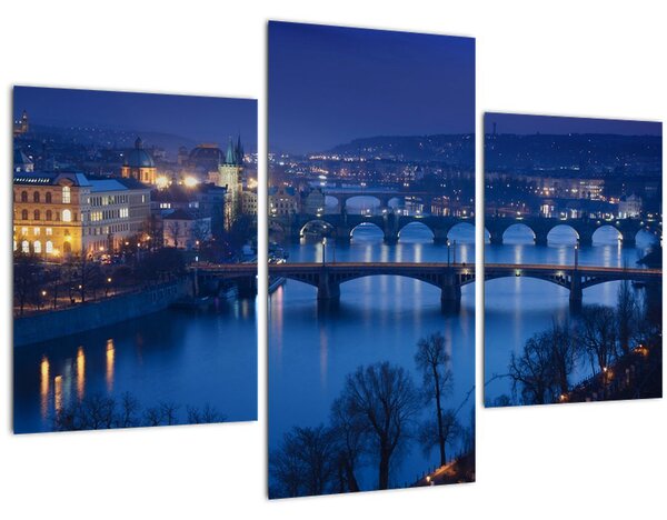 Tablou cu podurile din Praga (90x60 cm)