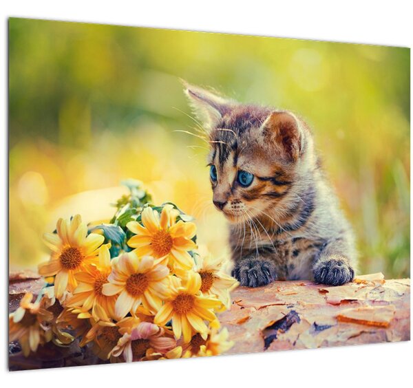 Tablou cu pisicuța uitându-se la floare (70x50 cm)