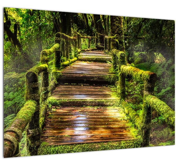 Tablou cu scări într-o pădure tropicală (70x50 cm)