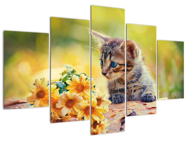 Tablou cu pisicuța uitându-se la floare (150x105 cm)