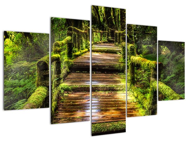 Tablou cu scări într-o pădure tropicală (150x105 cm)