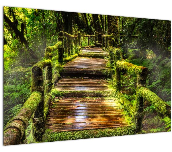 Tablou cu scări într-o pădure tropicală (90x60 cm)