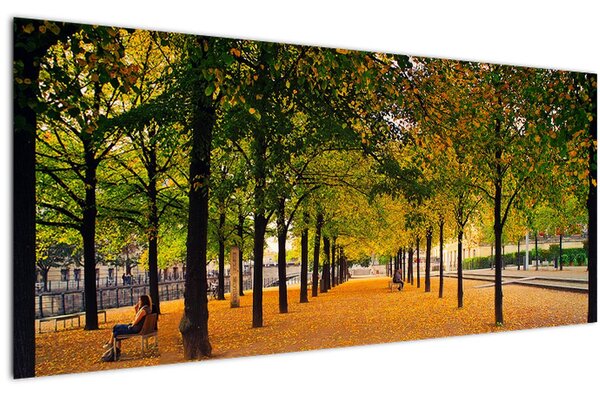 Tablou cu alee cu copaci în toamnă (120x50 cm)