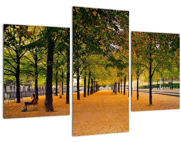 Tablou cu alee cu copaci în toamnă (90x60 cm)