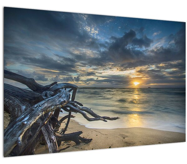 Tablou cu marea în apus de soare (90x60 cm)