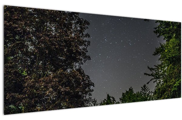 Tablou cu cerul nocturn (120x50 cm)