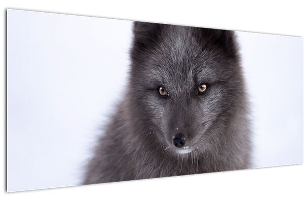 Tablou cu vulpe polară (120x50 cm)