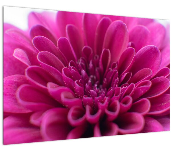 Tablou cu floare (90x60 cm)