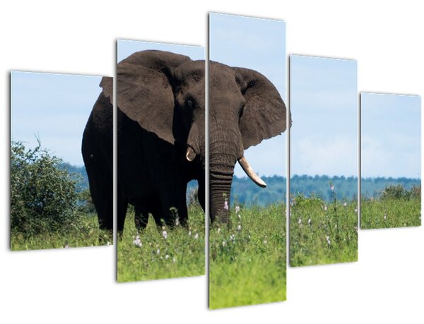 Tablou cu elefant (150x105 cm)