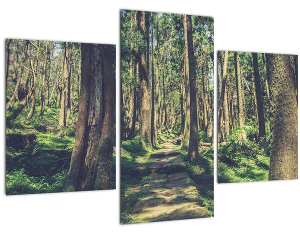 Tablou cu drum între copaci (90x60 cm)
