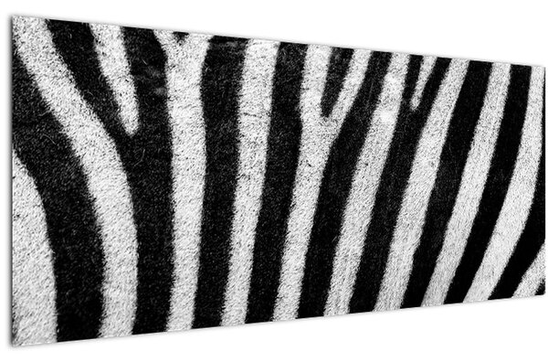 Tablou cu piele de zebră (120x50 cm)