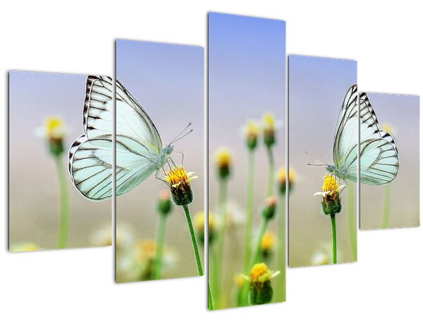 Tablou cu fluture pe floare (150x105 cm)