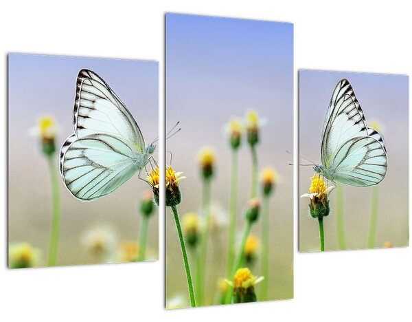 Tablou cu fluture pe floare (90x60 cm)