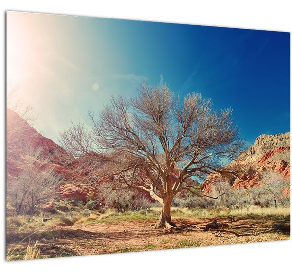 Tablou cu cu copac în deșert (70x50 cm)