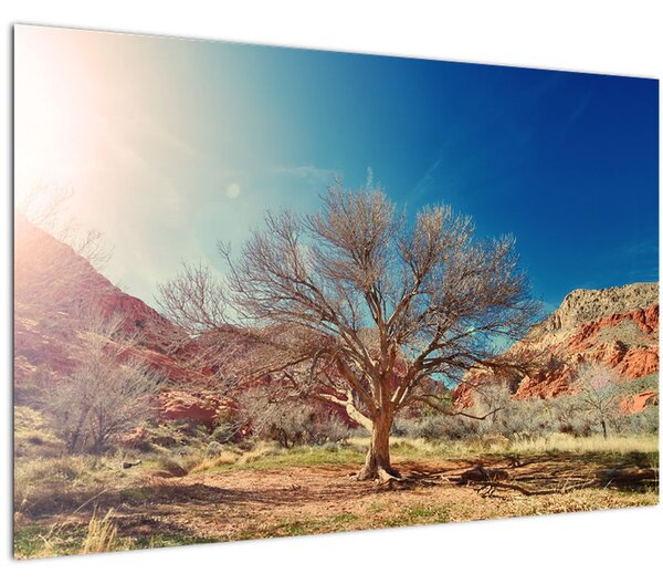 Tablou cu cu copac în deșert (90x60 cm)