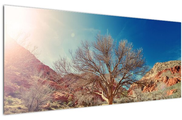 Tablou cu cu copac în deșert (120x50 cm)