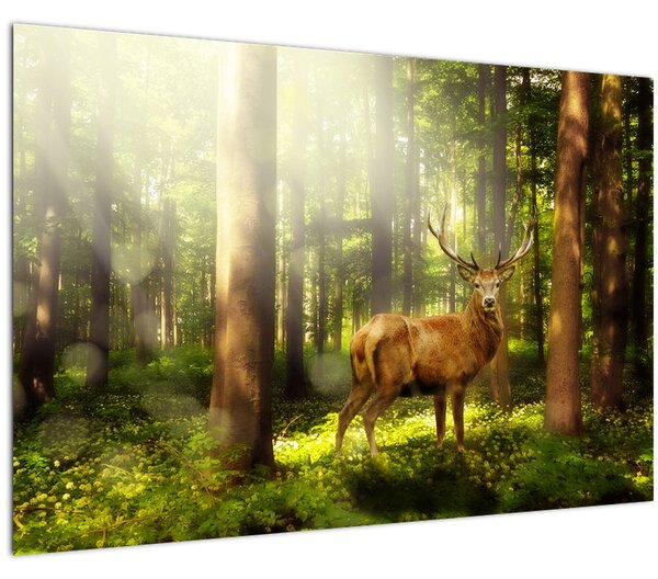 Tablou cu cerbul în pădure (90x60 cm)