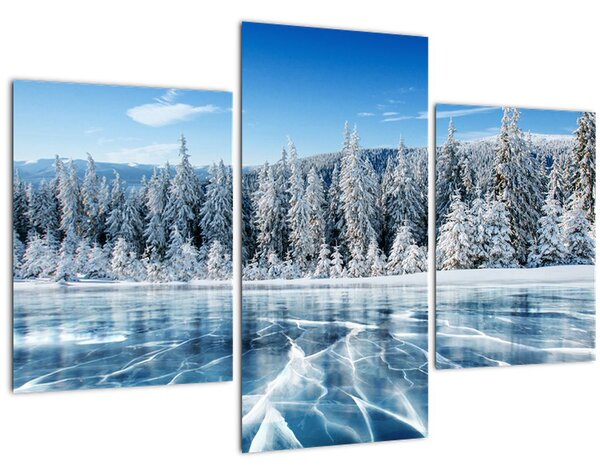Tablou cu lacul înghețat și copacii înzăpeziți (90x60 cm)