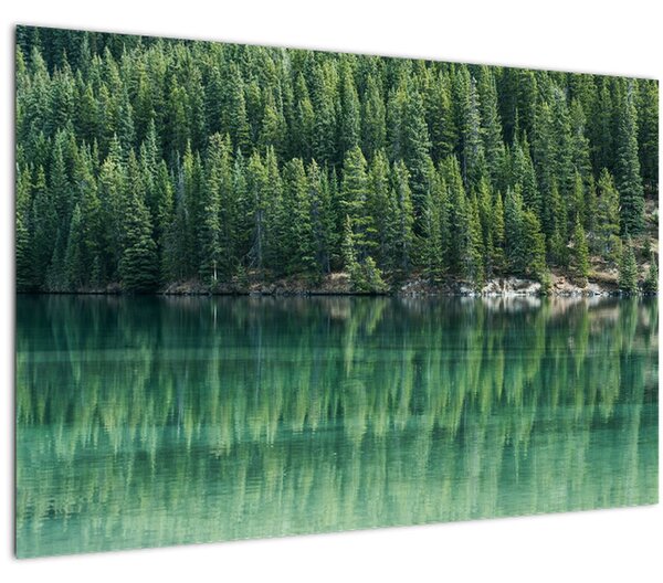 Tablou - Coniferi lângă lac (90x60 cm)