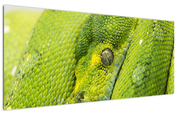 Tablou cu șarpe (120x50 cm)